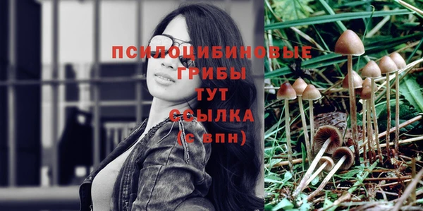 дживик Заволжье