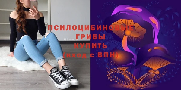 гидра Заволжск